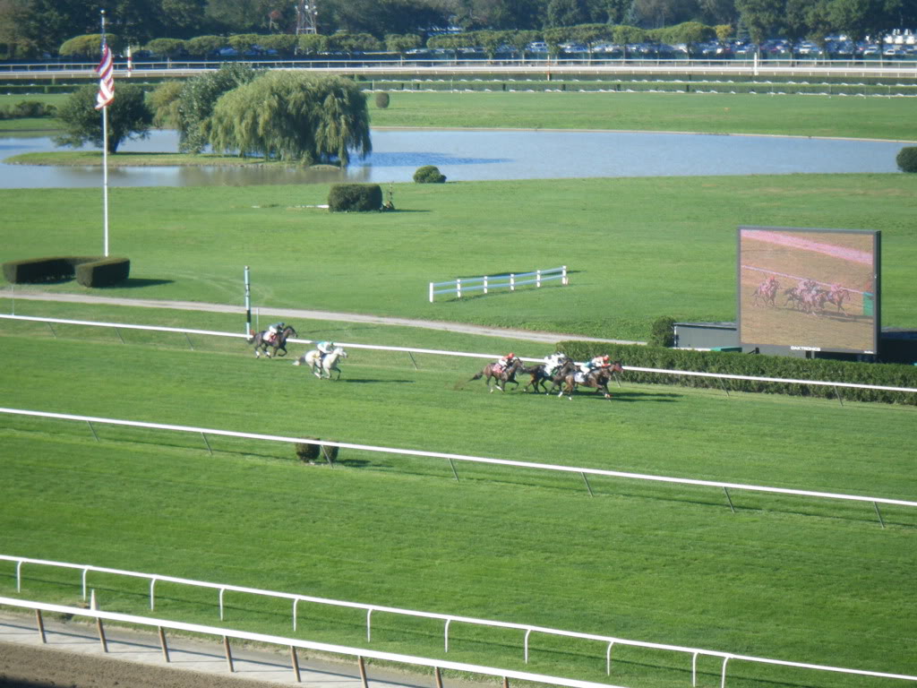 Down The Stretch In The Flower Bowl