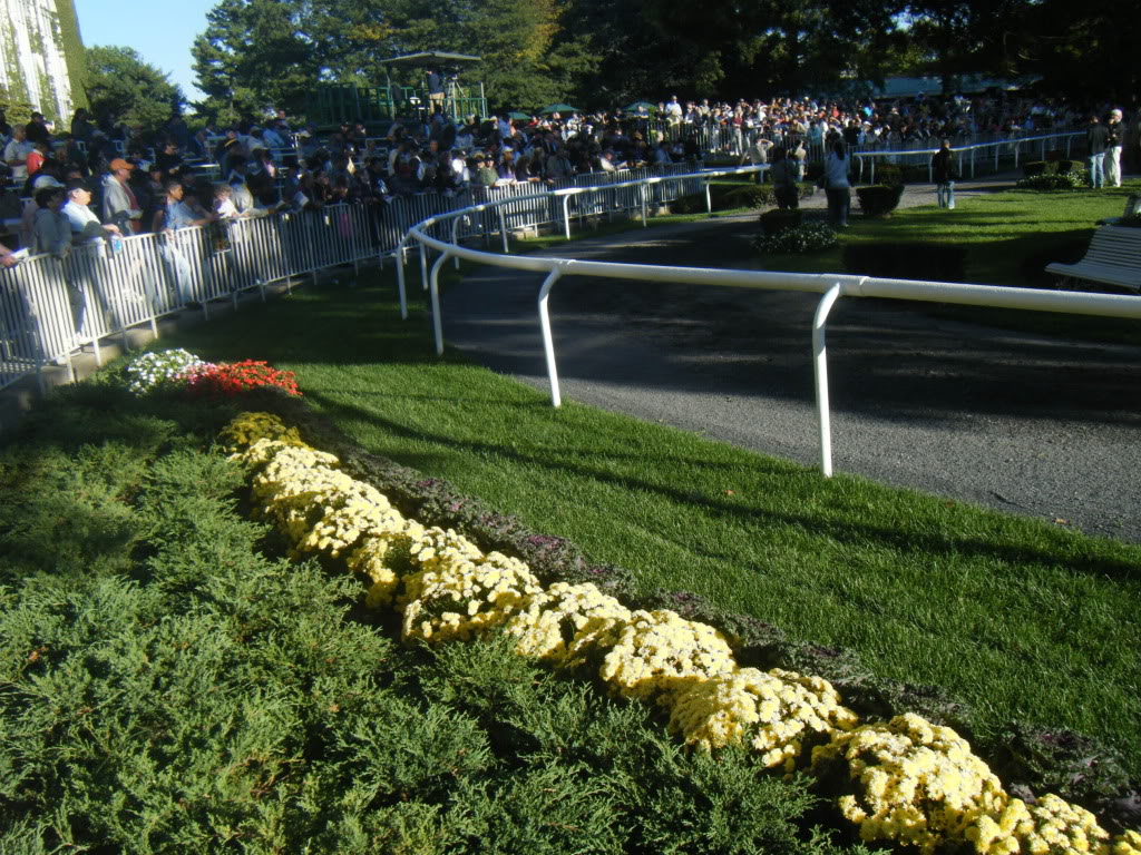 Belmont Flowers