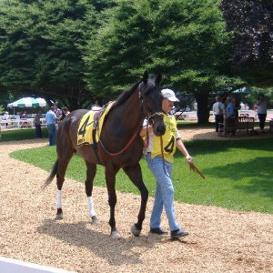 Joey P. Bounces Back To Win—Passes The $1 Million Mark In Career Earnings